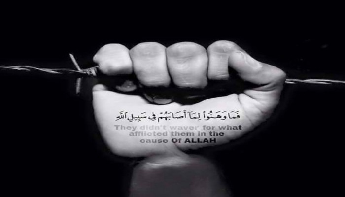 فإنهم يألمون كما تألمون نافذة مصر